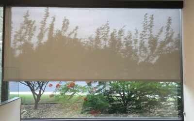 Celebrating Our Top Window Treatment Projects